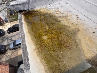 Low-Slope Roof Maintenance