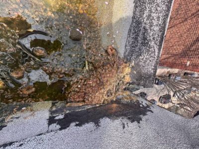 Roof Maintenance Services