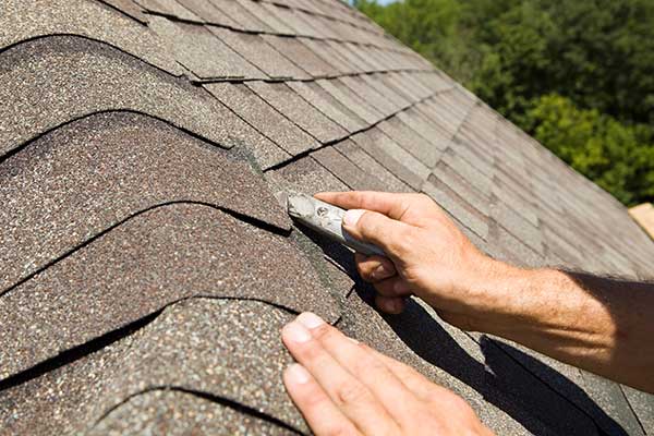 Roofing System Maintenance Services